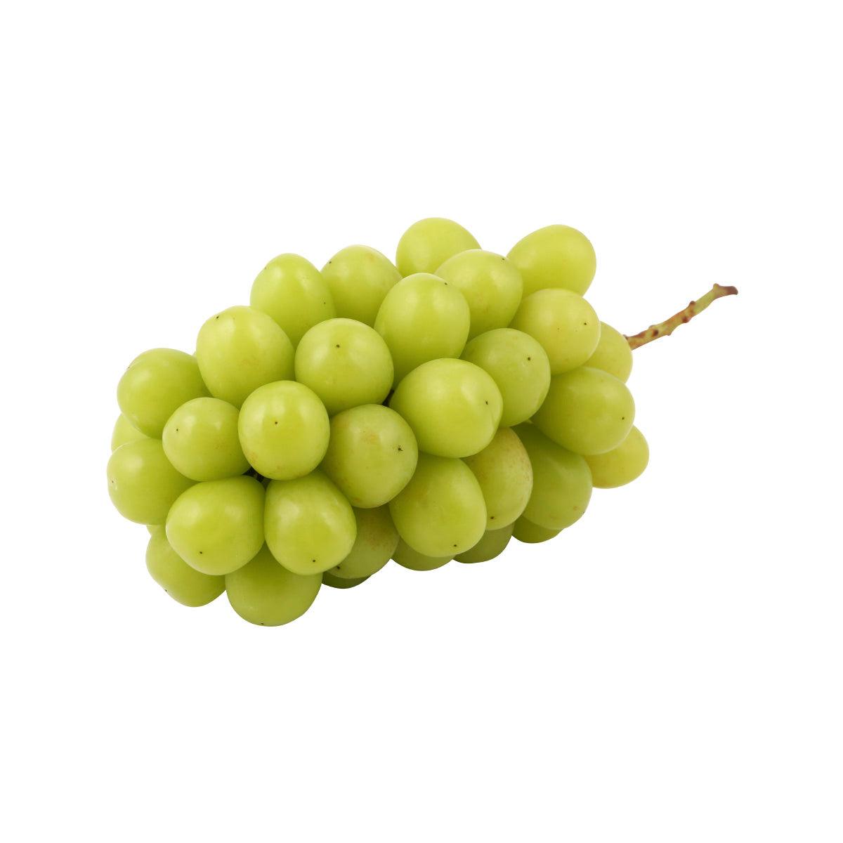 Green Shine Muscat grape cluster with stem, fresh grapes