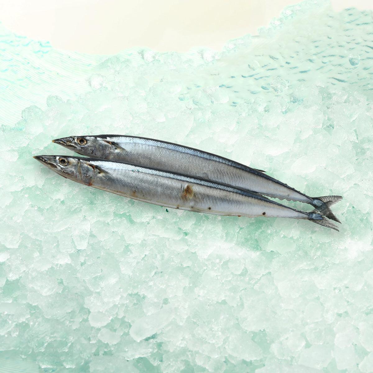 Previously frozen seafood: two whole silver fish on ice