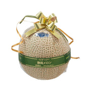 Honey-colored melon in beige mesh net with gold bow ribbon gift wrap