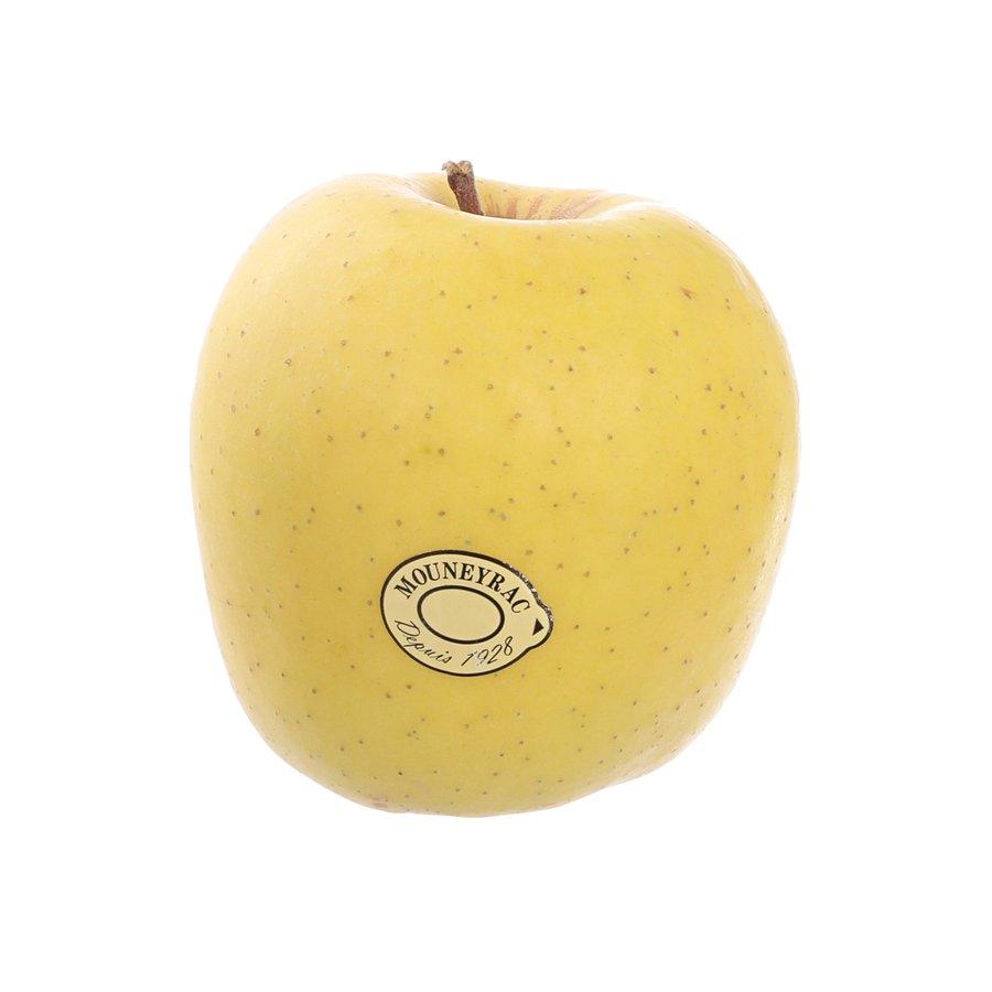 French golden apple fruit, single yellow apple with stem