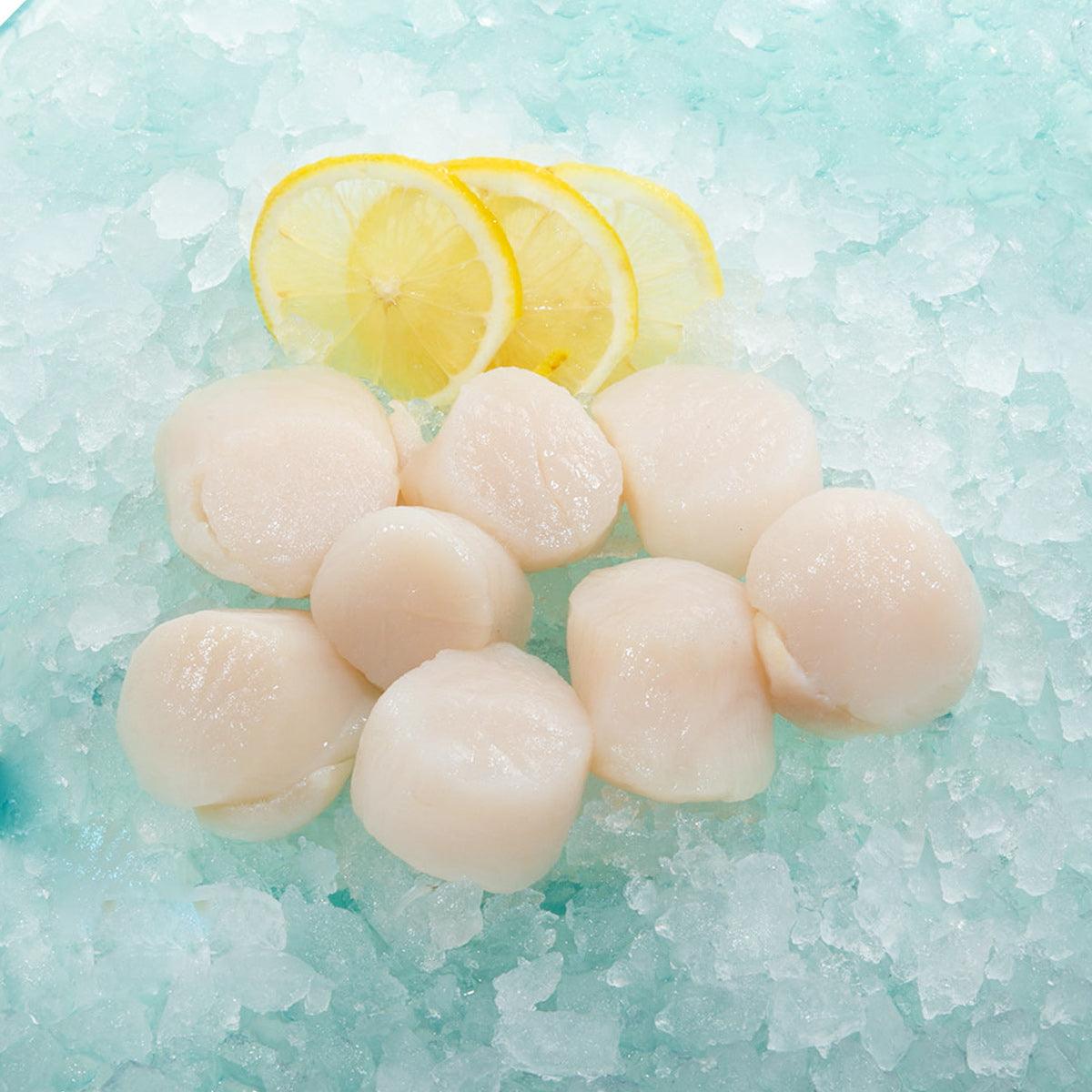 Frozen scallops with lemon slices on ice