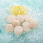 Frozen scallops with lemon slices on ice