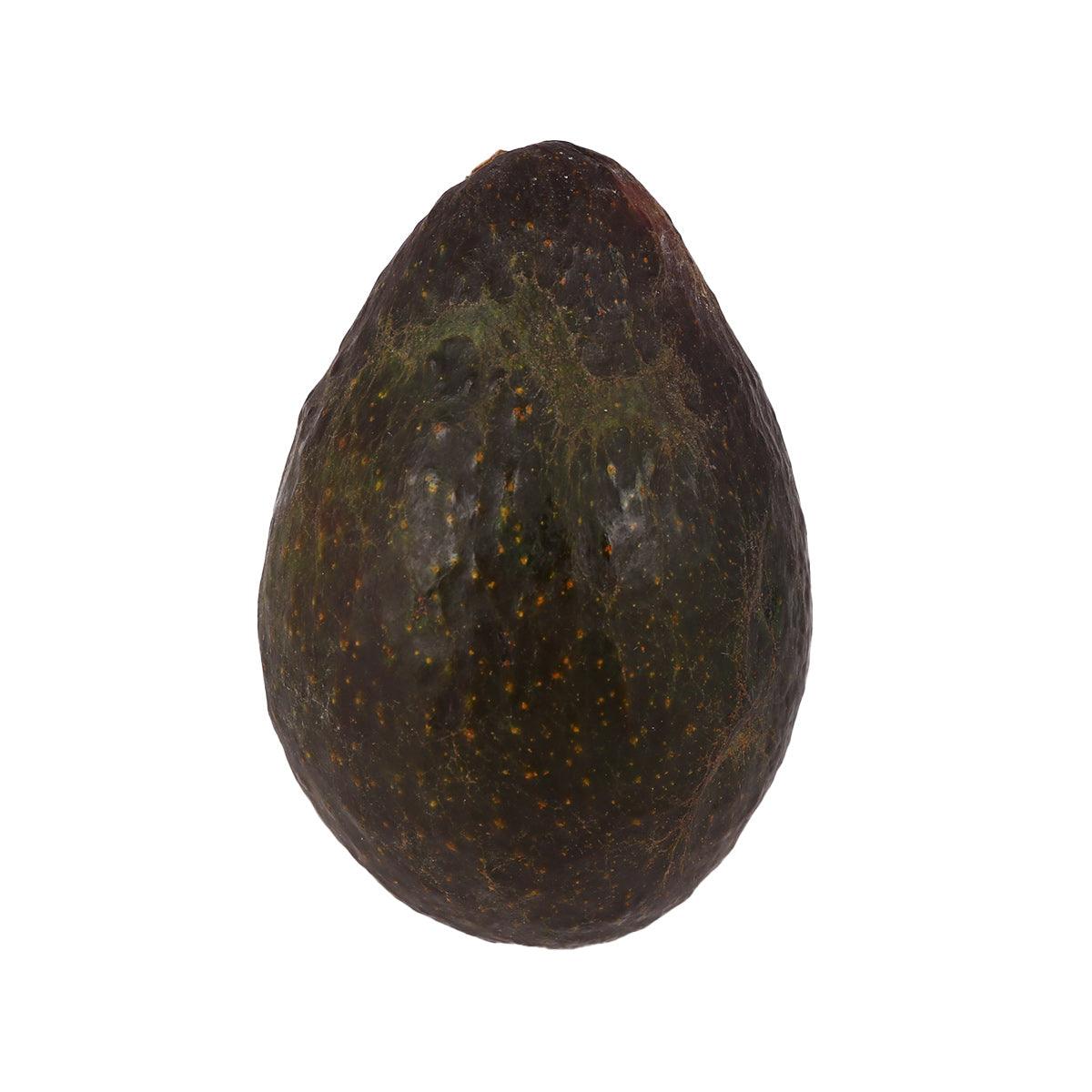 Organic avocado fruit, dark green-brown skin, whole single piece