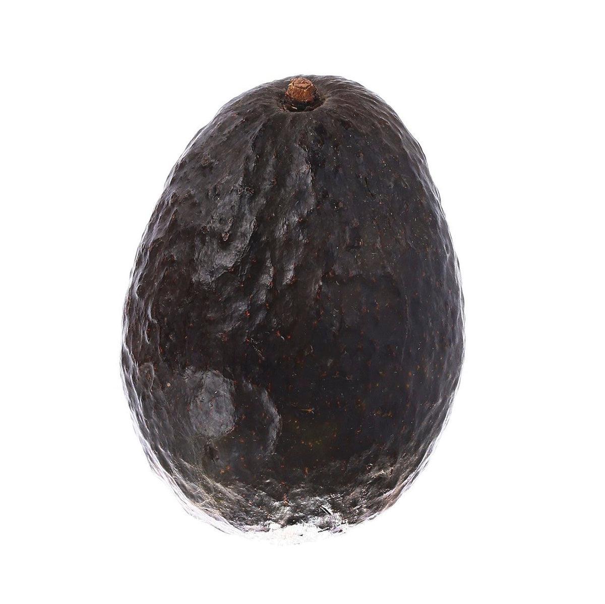 Mexican organic avocado fruit, whole with dark bumpy skin