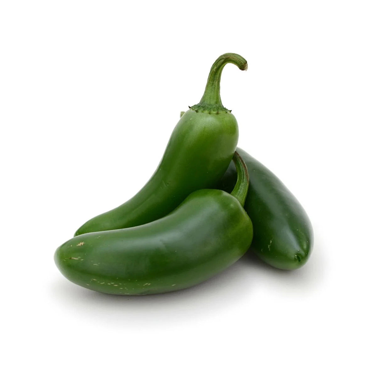 Fresh green jalapeno chili peppers, curved pods with stems