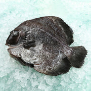 Frozen round batfish, whole with dark skin and white speckled pattern