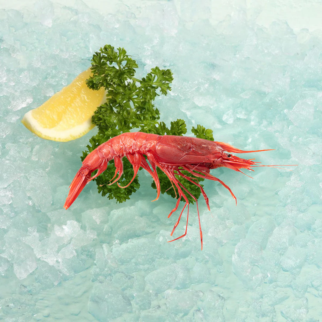 Frozen red king prawns (carabinero) with parsley and lemon wedge