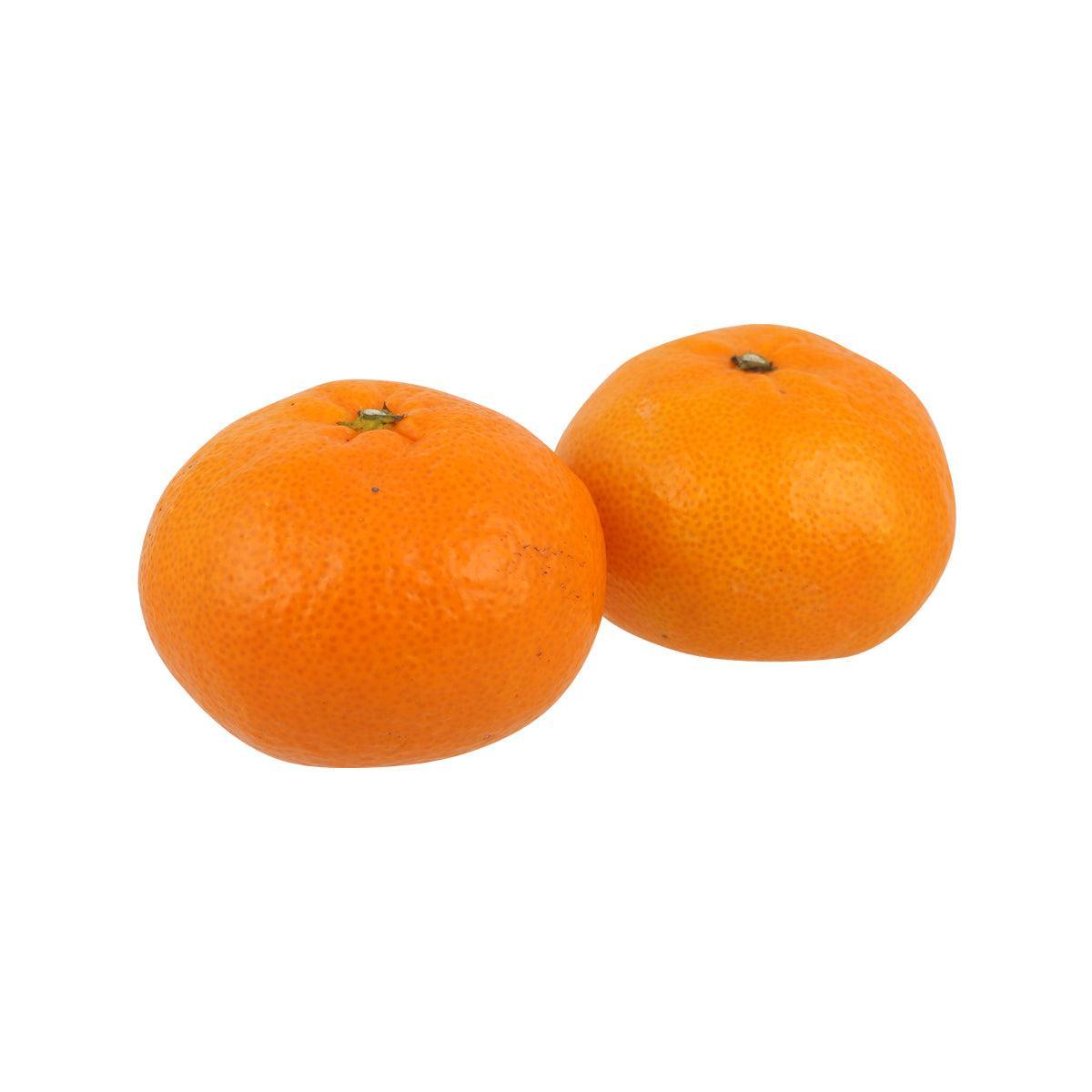 Two Japanese mikan citrus fruits, bright orange
