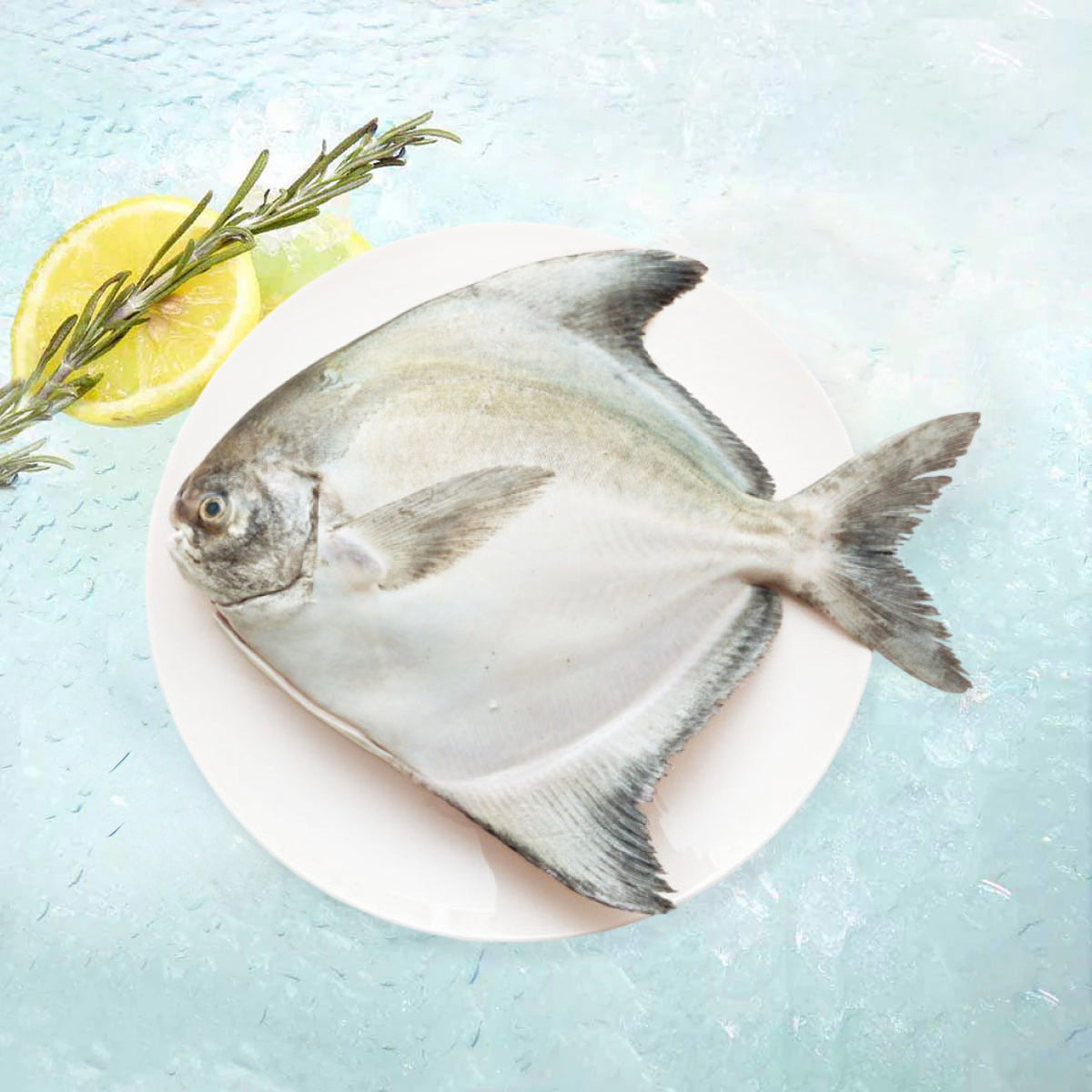 Whole pomfret fish on white plate, silvery-gray skin, with tail fin visible
