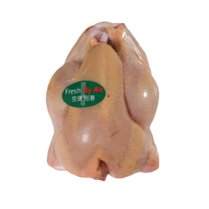 CITYSUPER French Chilled Yellow Spring Chicken  (1pack)