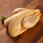Whole chilled organic chicken with yellow skin and orange wing tips