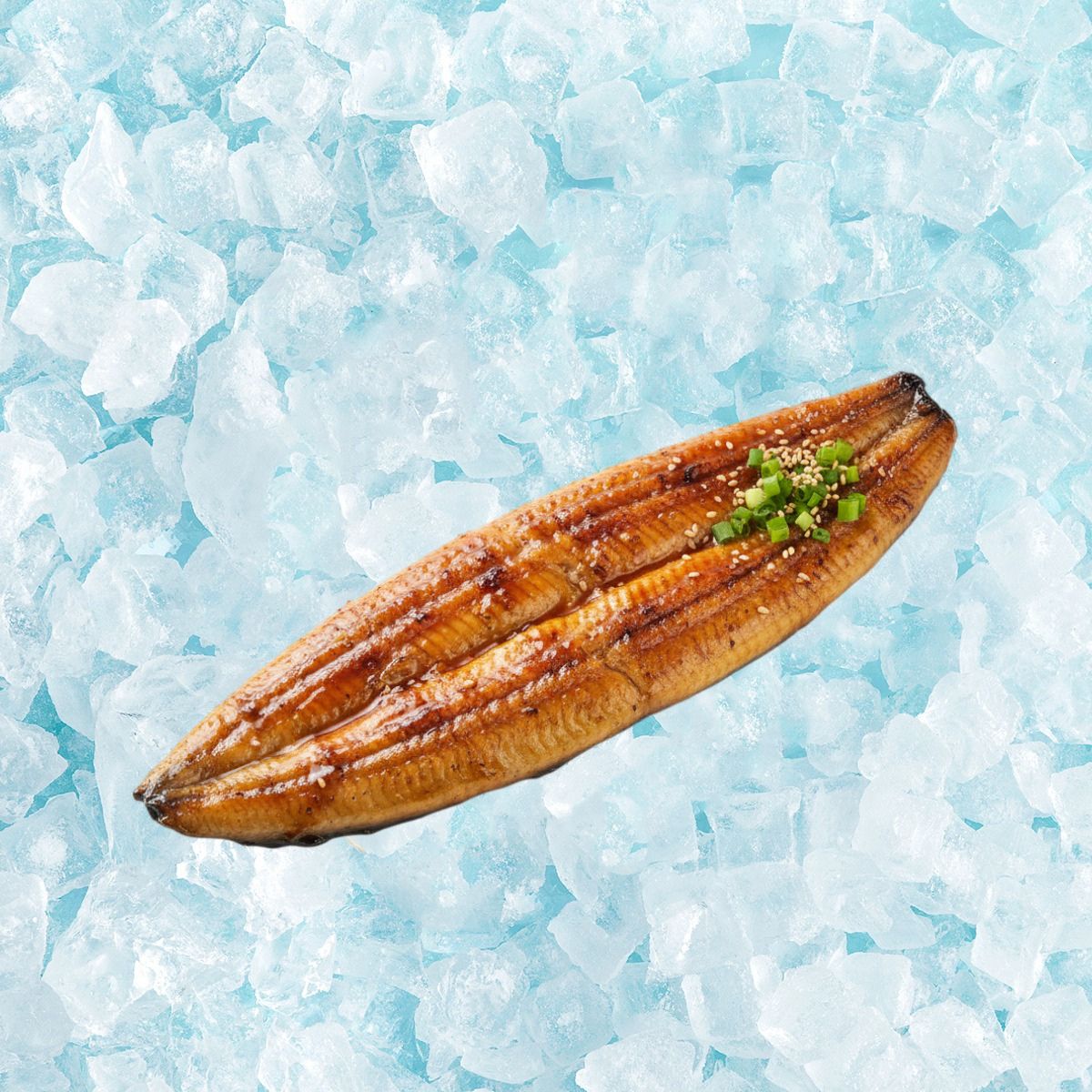 Frozen grilled conger eel fillet with green onion on ice