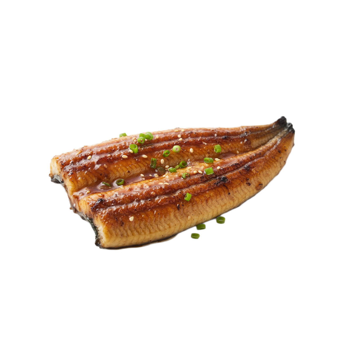 MOJI BASE grilled conger eel fillet with teriyaki glaze and chopped green onions