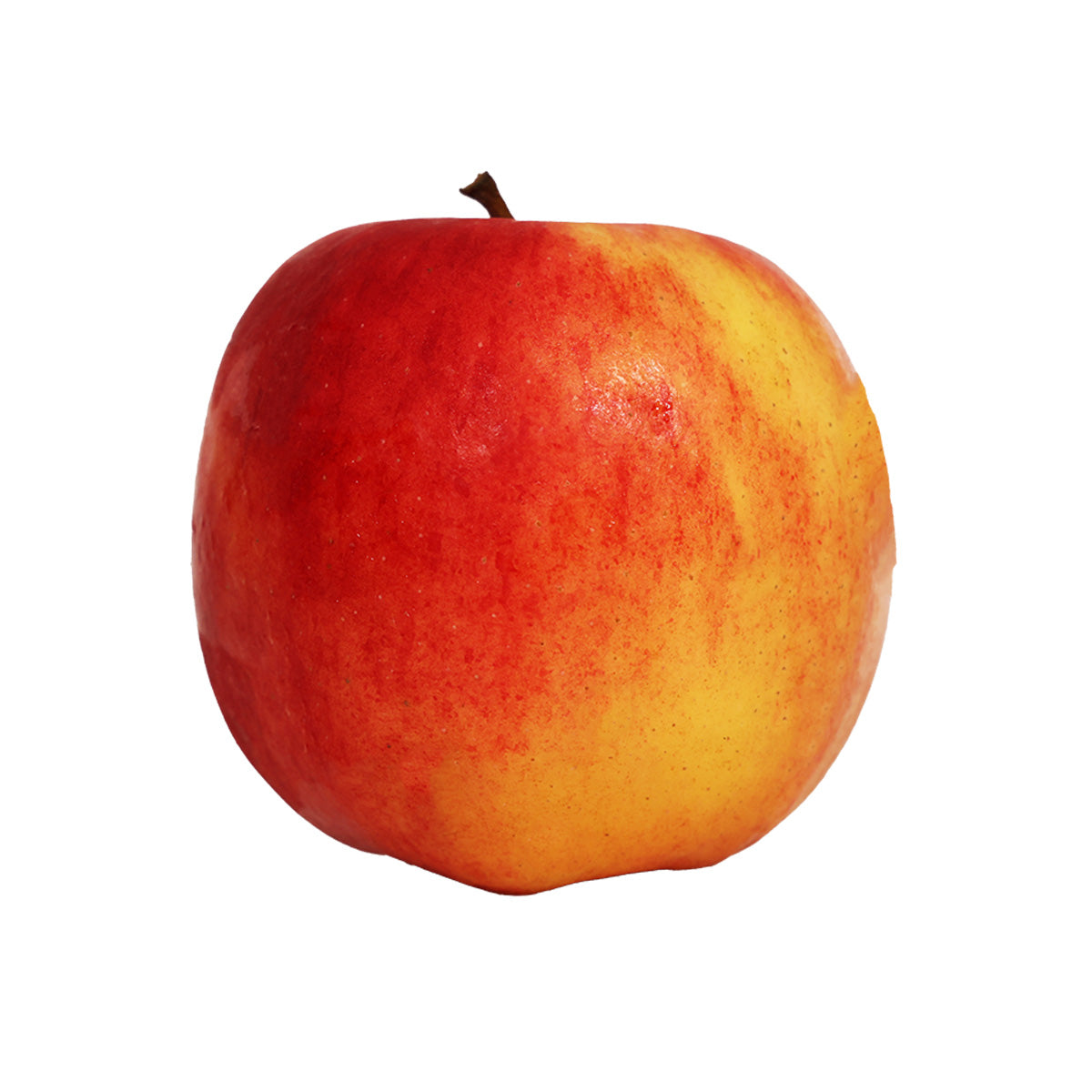 Organic Southern Bliss apple, red and yellow skin with intact stem