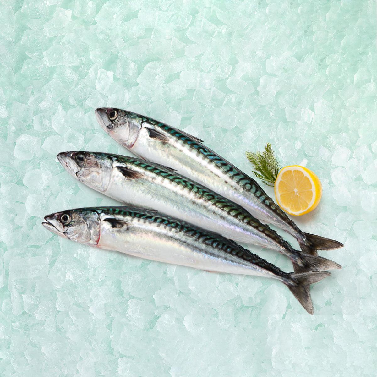 Cooked Spanish mackerel with miso glaze, served with lemon slice and herbs