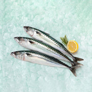 Cooked Spanish mackerel with miso glaze, served with lemon slice and herbs