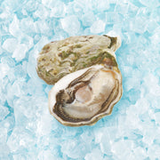 French oyster with open shell and visible white meat