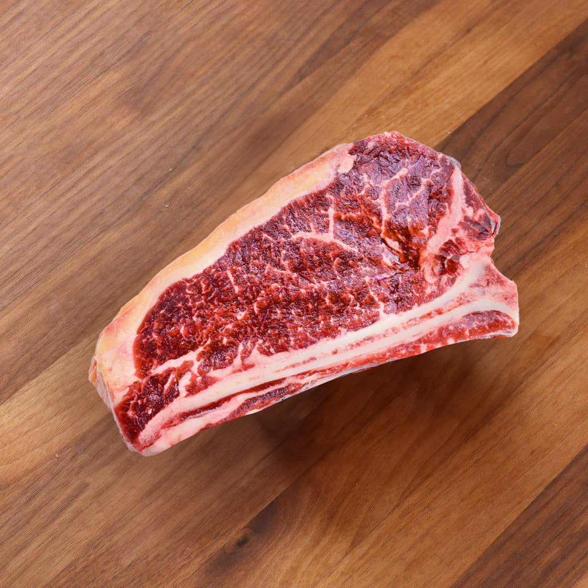 Dry-aged beef prime rib cut, bone-in cross-section with marbled red meat
