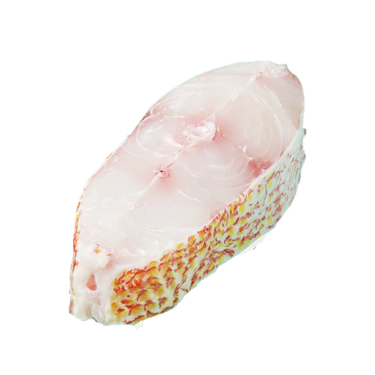 Skin-on red snapper fillet slice with pale pink flesh and speckled edge