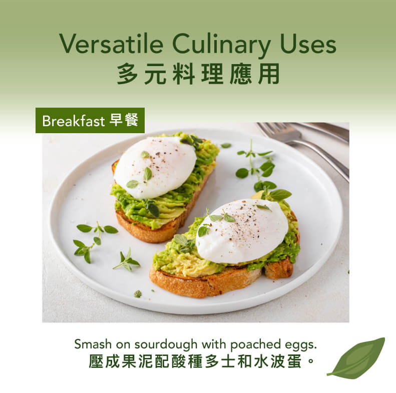 Avocado culinary uses graphic with breakfast toast and poached eggs