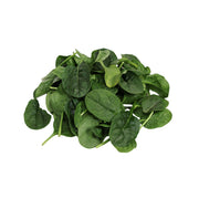 Fresh baby spinach leaves, green leafy bundle