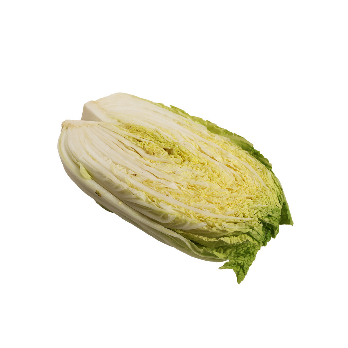 Half-cut Japanese Chinese cabbage, pale green outer leaves and crisp pale yellow core