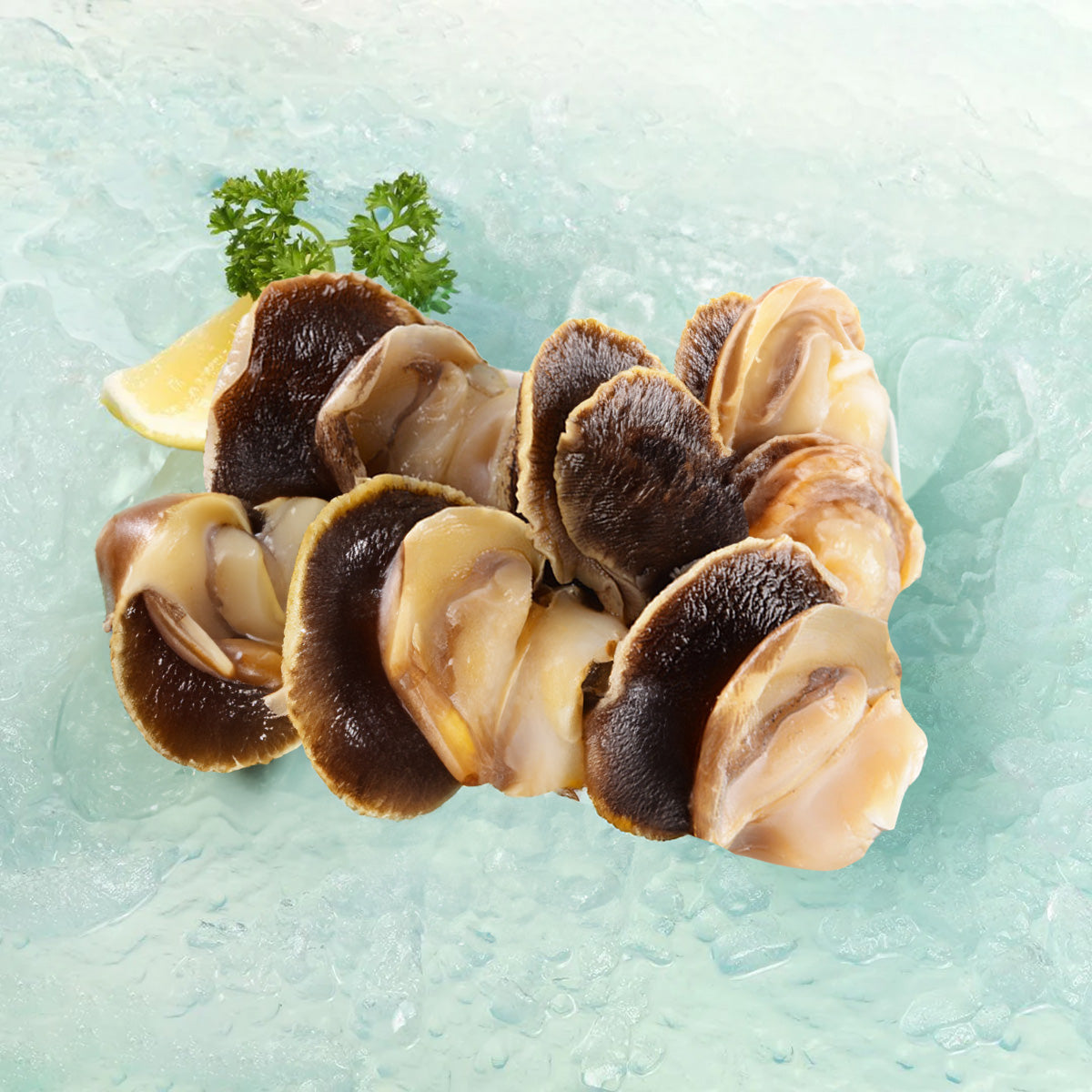 Frozen yellow conch meat pieces with dark brown outer shells