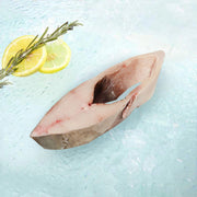 Raw halibut slice, pink flesh with skin, ready for cooking