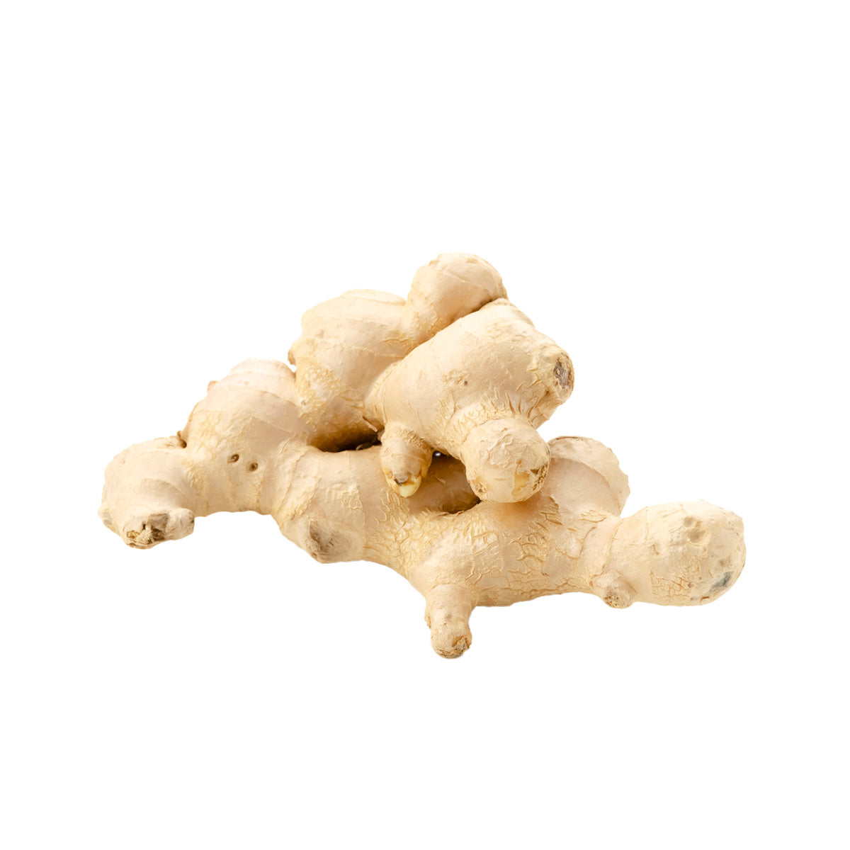 Fresh organic ginger rhizome pieces, light beige whole pieces