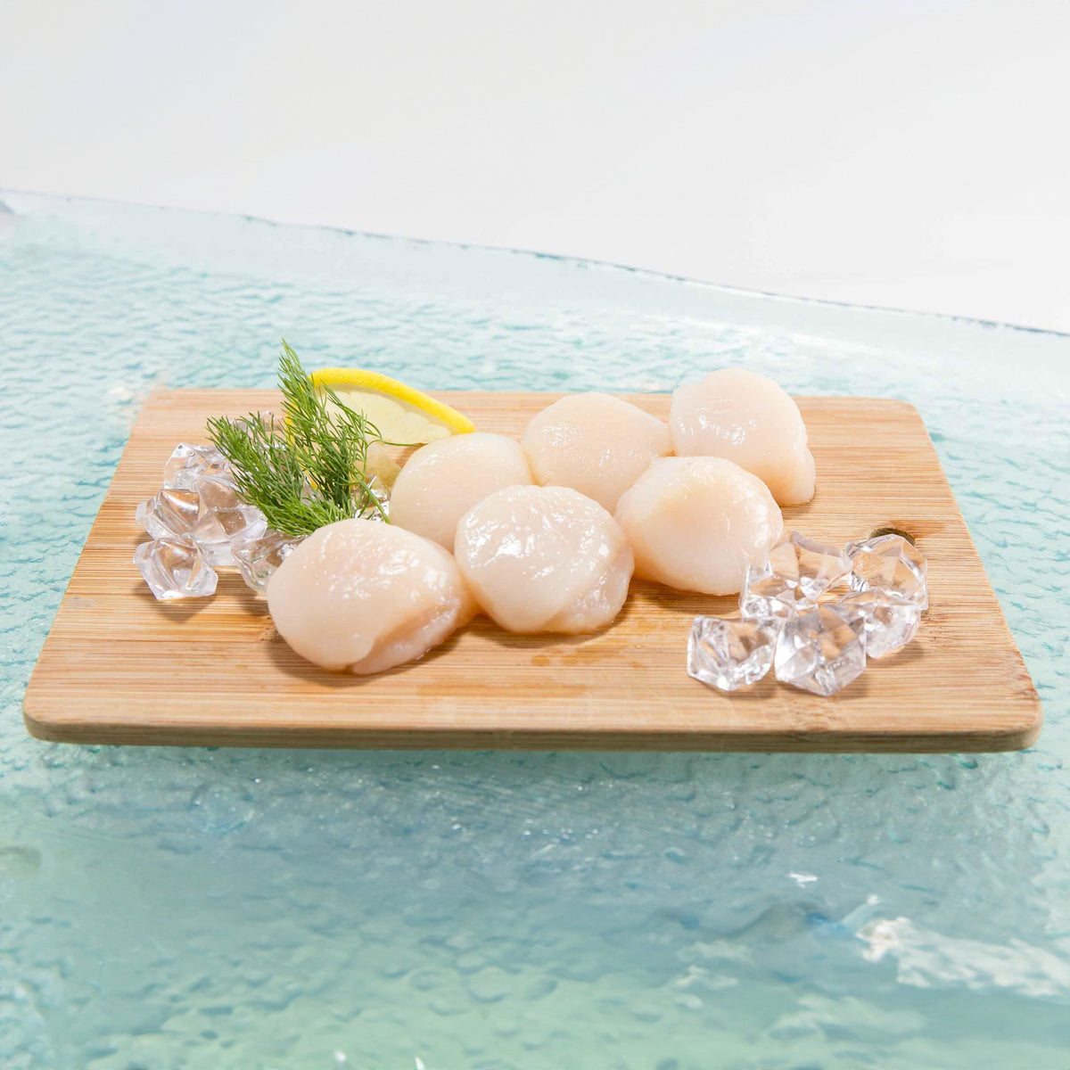 Scallop meat on wooden board with lemon, dill, and ice cubes
