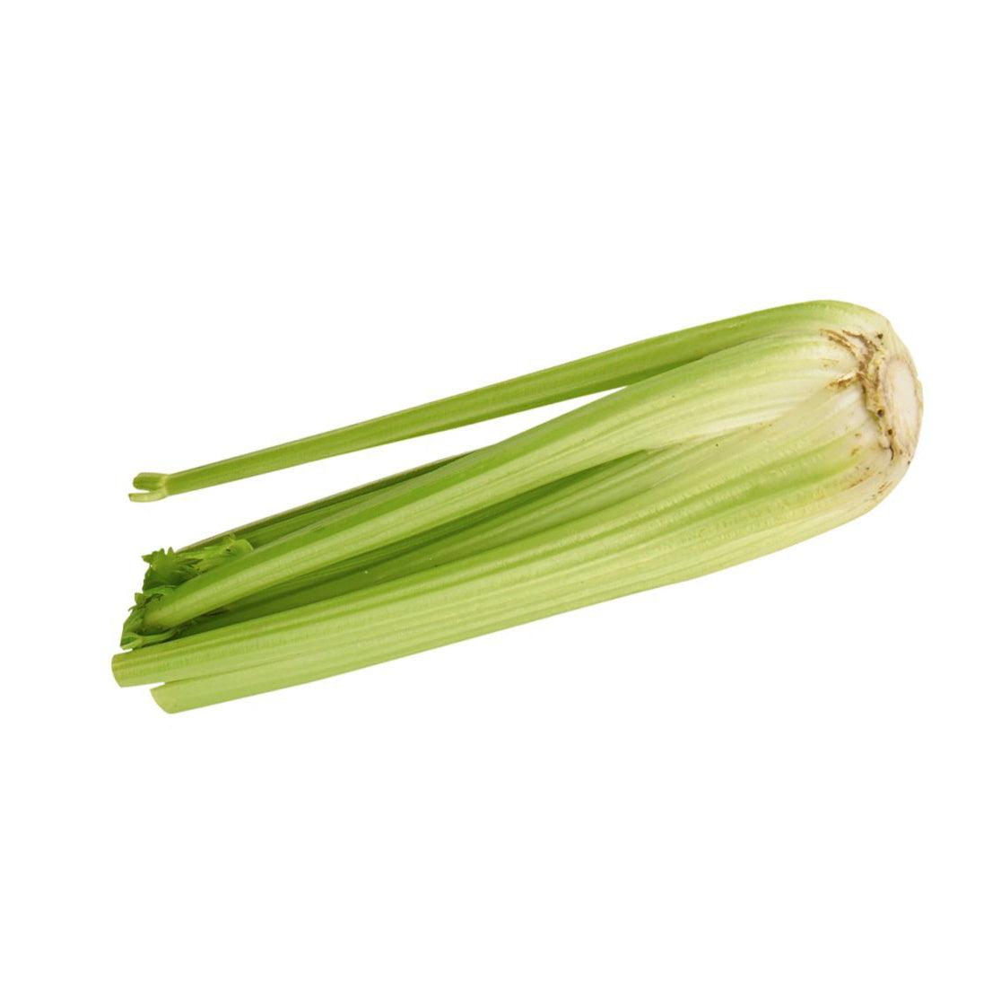 Fresh green celery stalk with pale inner rib, trimmed ends