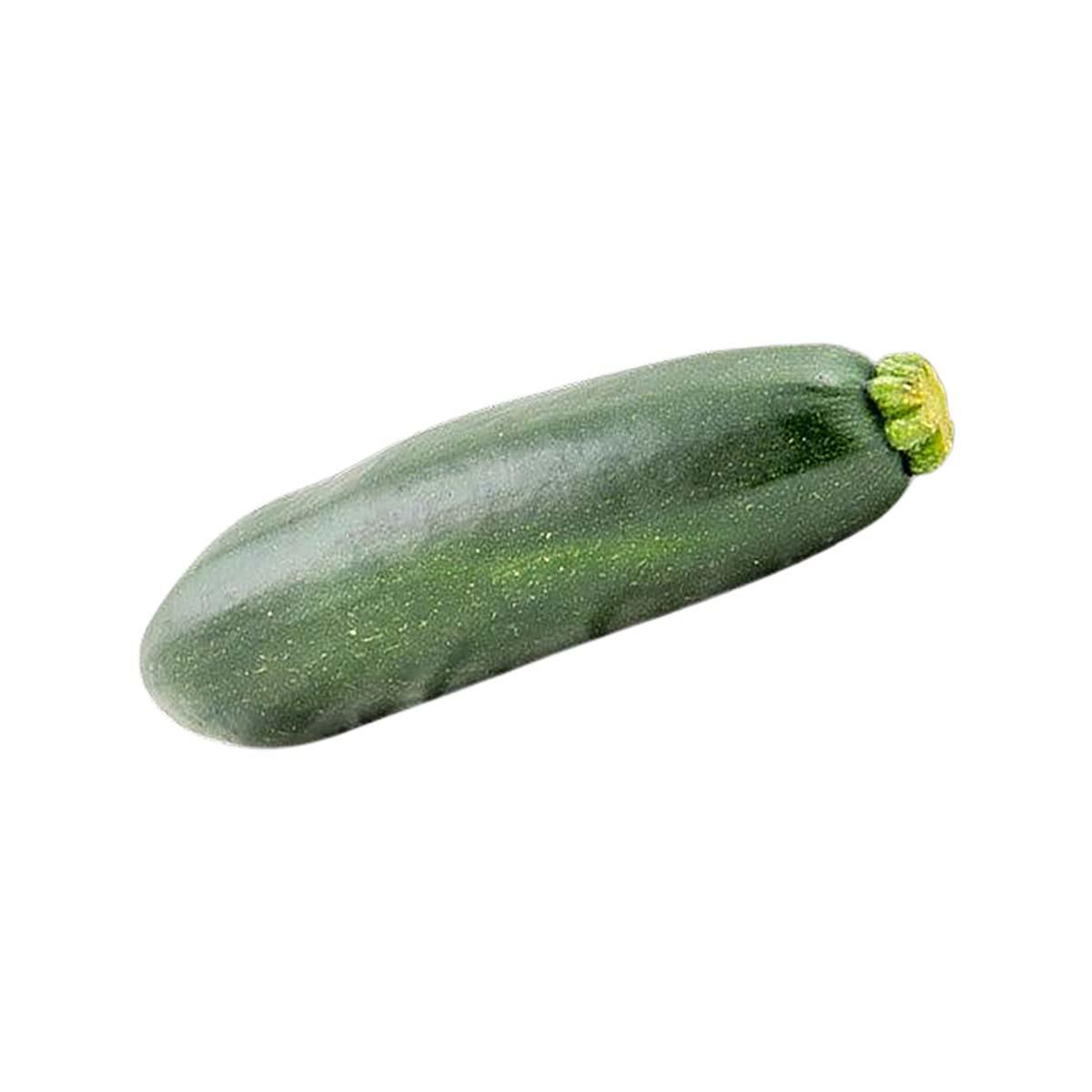 Fresh green zucchini vegetable with stem end