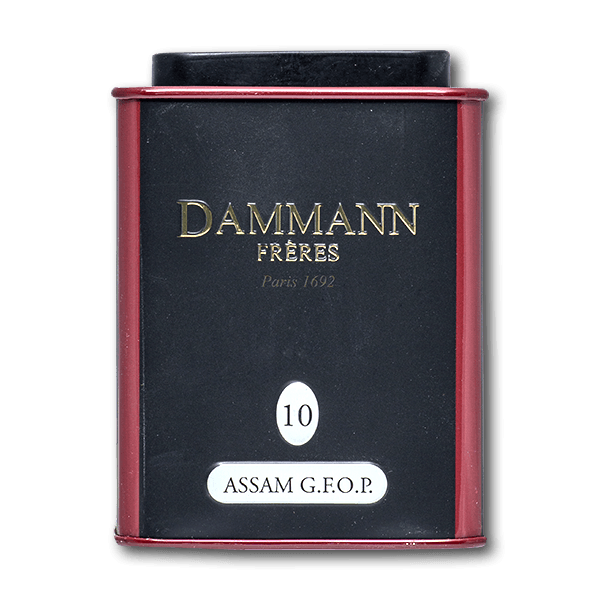 DAMMANN Assam G.F.O.P. black tea tin, dark can with red trim and logo