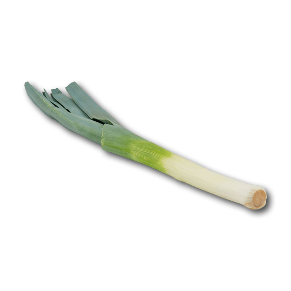 Dutch Leek  (300g)