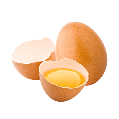 Egg