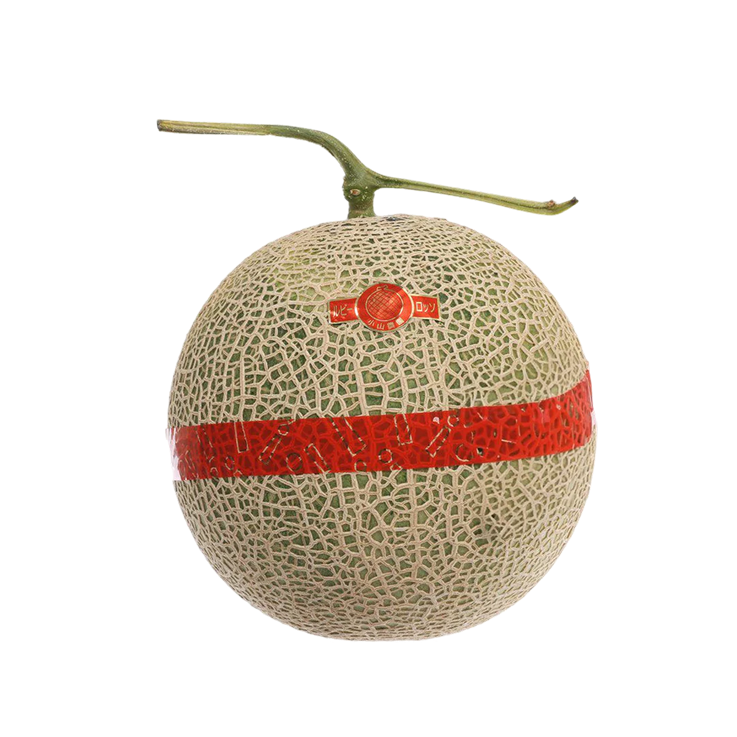Japan Kumamoto Oyama Farm Ruby Rosso Red Meat Melon  (1pc)