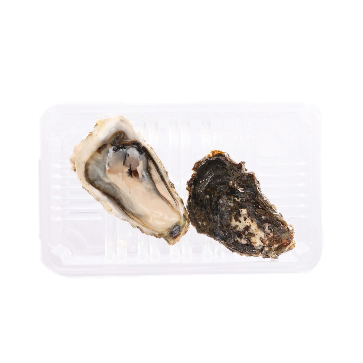 Two oyster halves on a clear tray, one opened with white meat and dark shell